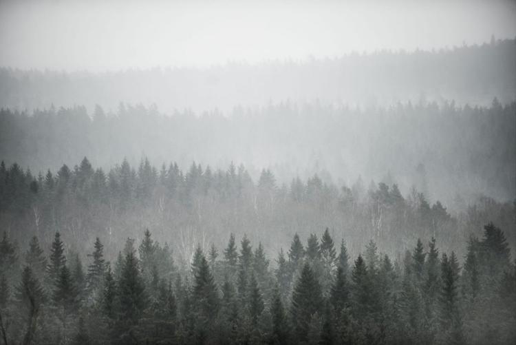 Unsplash by Jasper Graetsch